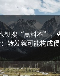 如果你也想搜“黑料不”，先看完这段：转发就可能构成侵权