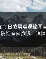 当事人在今日凌晨遭遇秘闻全网炸裂，香蕉影视全网炸锅，详情速看
